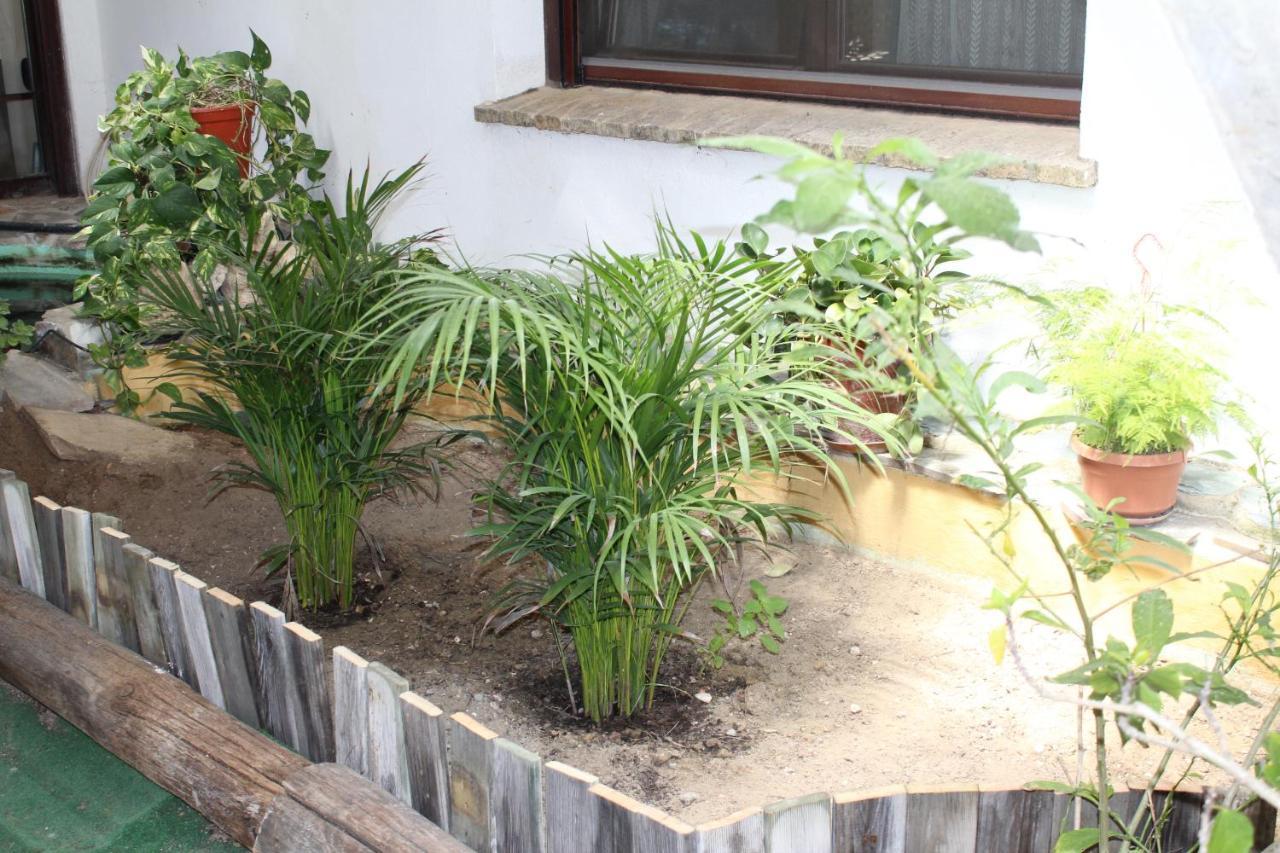 Casa Rural Los Pepe Sancti Petri Chiclana de la Frontera Kültér fotó